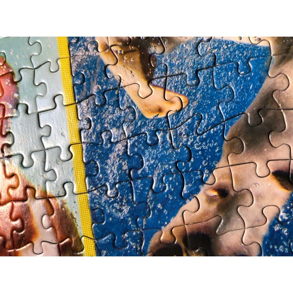 Buffalo Games - Dog Days - Underwater Dogs - 750 Piece Jigsaw Puzzle -‎ Complete